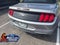 2020 Ford Mustang EcoBoost Premium Blue Certified