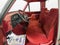 1987 Ford F-150 XLT Lariat Edition