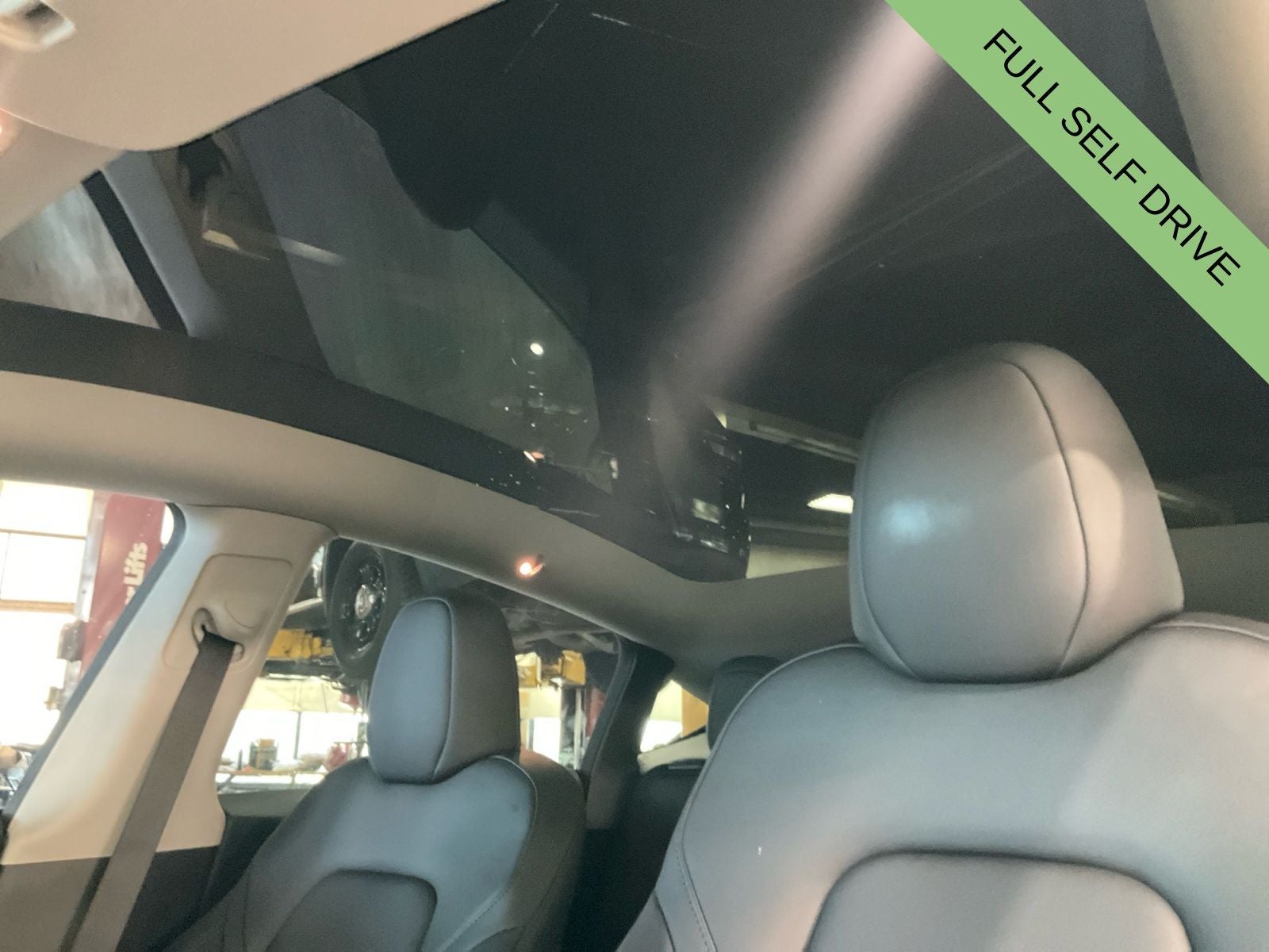 2023 Tesla Model Y Performance Dual Motor All-Wheel Drive